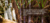 Imagem do banner rotativo Pavani - Cachaças de Alambique