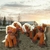 CABALLITOS FELICES - comprar online