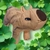 CAPIBARA ECO-PRINT A2 - comprar online