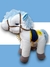 CABALLO PATRIO