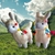 LLAMITAS JUJEÑAS A2 - comprar online