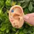 Aretes mini acero inox - comprar en línea