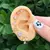 Aretes corazón rosa chapa de oro AZ166 - comprar en línea