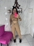 Conjunto Live canelado