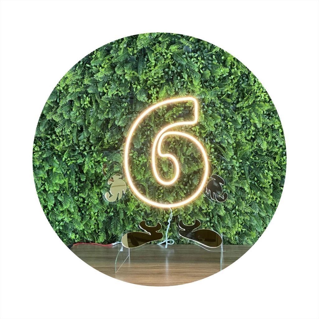Painel Led Neon Número 0 Zero Animado Para Sua Festa Decoração Infantil Letras Iluminação