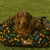 Caminha Pop - XiPets - comprar online