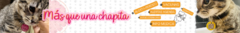 Banner de la categoría Mascotas