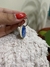 ID Pet - modelo Pluma en internet
