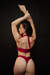 Body Safira asa delta - Desejo - loja online