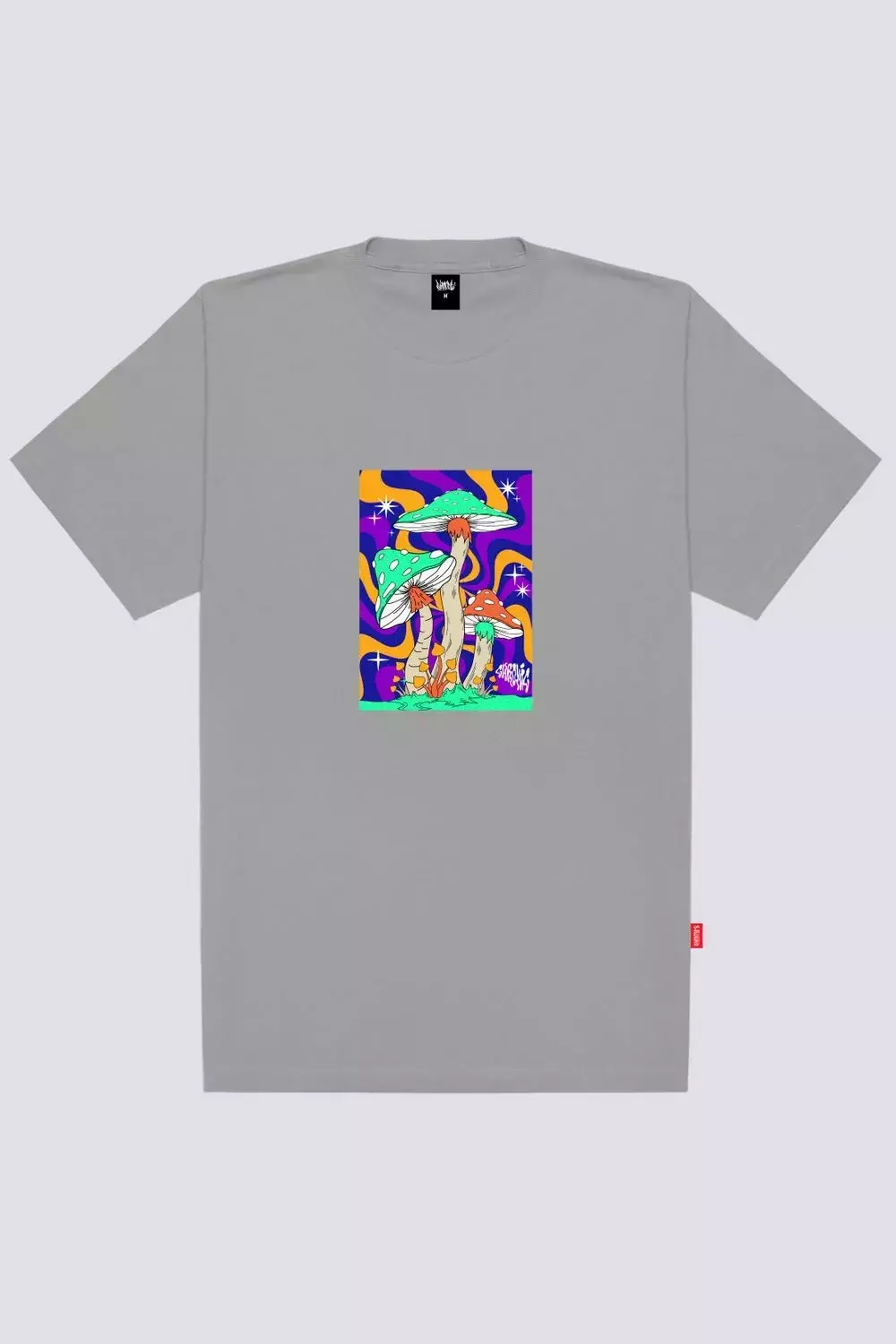 CAMISETA CHRONIC 3932