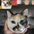 Cerâmica Personalizada gato - comprar online