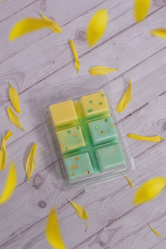 Mood Pops - comprar online