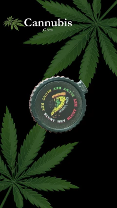 Suaver Tubo Blunt Rey - comprar online