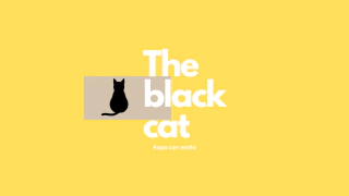 the black cat