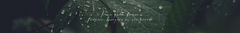 Banner da categoria FRESCAS & NATURAIS