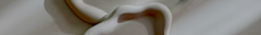 Banner da categoria ORGÂNICA