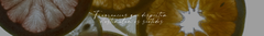 Banner da categoria CÍTRICAS & ENERGIZANTES