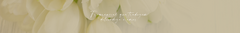 Banner da categoria FLORAIS ELEGANTES