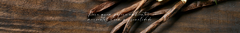 Banner da categoria AMADEIRADAS & TERROSAS