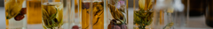 Banner da categoria POR FRAGRÂNCIA