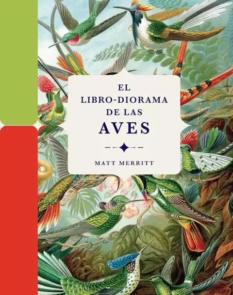 El Libro-diorama De Las Aves - Matt Merritt - Foliscopio