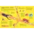 Insectopedia - Daniel Aguilera-Olivares & Itza Maturana - Amanuta - comprar online