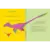 Imagen de Secretos de dinosaurios - Clarice Uba & Lorota - Amanuta