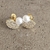 Brillante y perlita - comprar online