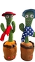 CACTUS BAILARIN