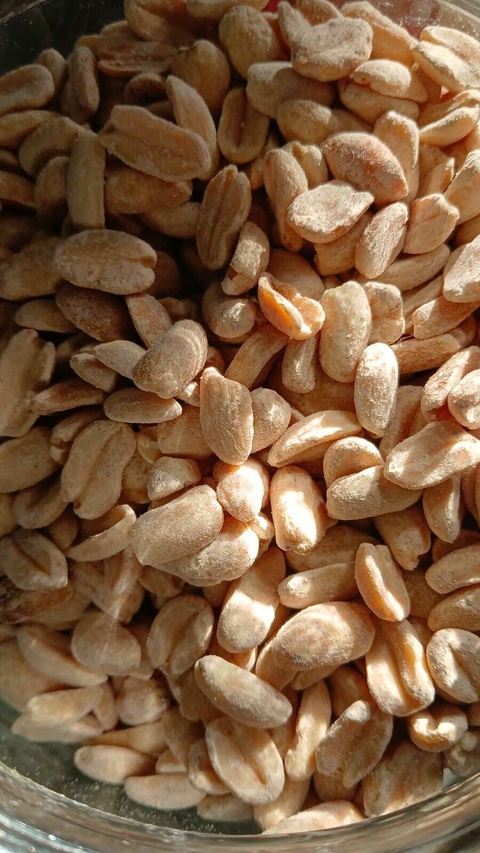 Mani sin Sal x 100 g - comprar online