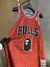 REGATA NBA CHICAGO BULLS x BAPE na internet
