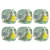 CONJUNTO PRATOS OXFORD SUMMER 20X20CM C/06 TROPICA - comprar online