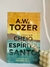 Como ser cheio do Espírito Santo | A. W. Tozer
