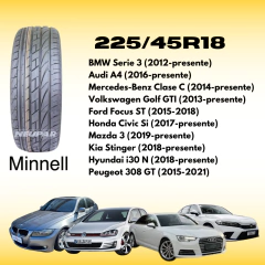 225/45R18 MINNELL en internet