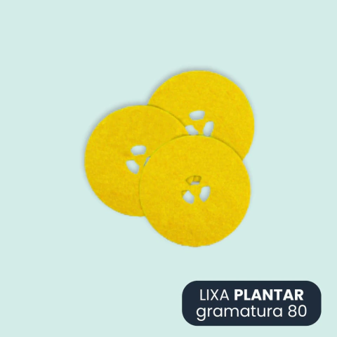 Podosystem Lixa Plantar Gramatura 80 - comprar online