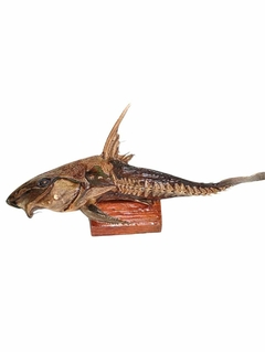Cuiú-cuiú Empalhado - comprar online