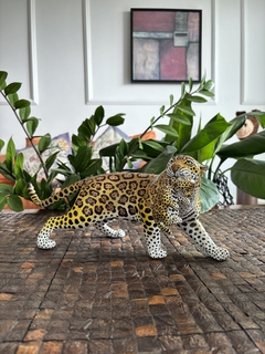 Mãe Onça Pintada levando seu filhote | Grande