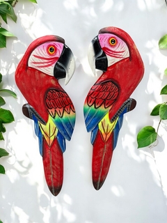 Arara vermelha madeira molongó