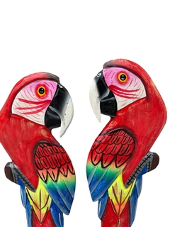 Arara vermelha madeira molongó - Amazônia & Sintonia