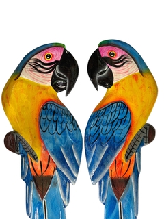 Arara Canindé azul madeira molongó - loja online