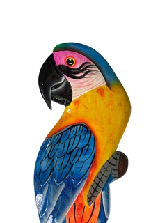 Arara Canindé azul madeira molongó - comprar online