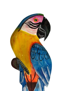 Arara Canindé azul madeira molongó na internet