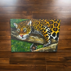 Quadro Decor Onça Pintada Na Arvore - Amazônia & Sintonia