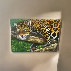 Quadro Decor Onça Pintada Na Arvore na internet