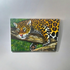 Quadro Decor Onça Pintada Na Arvore