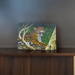 Quadro Decor Onça Pintada - comprar online