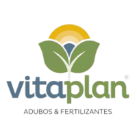 Marca 4 de Floricultura Vazolandia Duarte