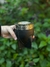 Mates Imperiales Egipcio
