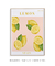 LEMON SPAIN - loja online