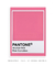 Pantone Pink Carnation - Tura Decor